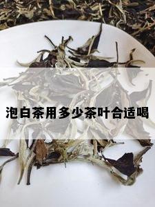 泡白茶用多少茶叶合适喝