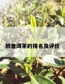 班普洱茶的排名及评价