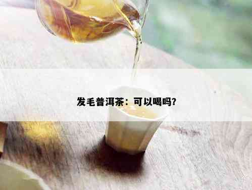 发毛普洱茶：可以喝吗？