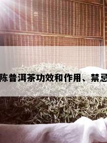 陈普洱茶功效和作用、禁忌