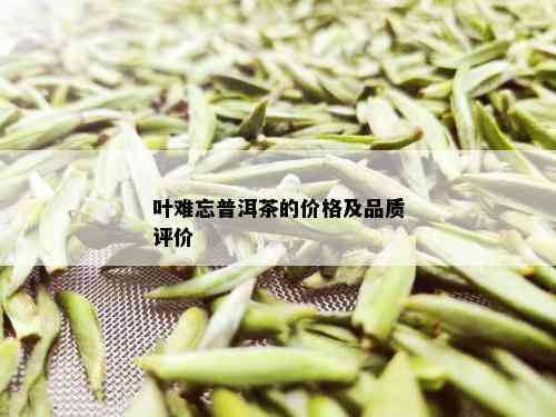 叶难忘普洱茶的价格及品质评价