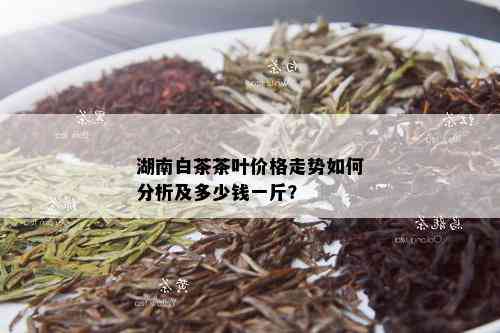 湖南白茶茶叶价格走势如何分析及多少钱一斤？