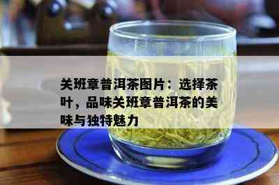 关班章普洱茶图片：选择茶叶，品味关班章普洱茶的美味与独特魅力