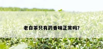 老白茶只有香味正常吗？