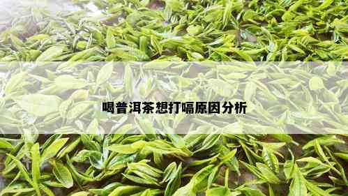 喝普洱茶想打嗝原因分析