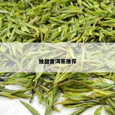 独甜普洱茶推荐