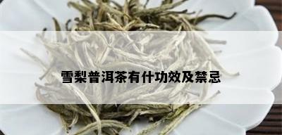 雪梨普洱茶有什功效及禁忌