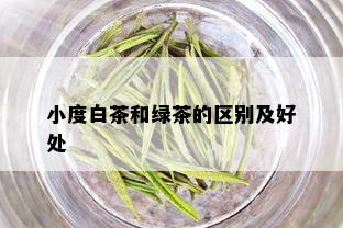 小度白茶和绿茶的区别及好处