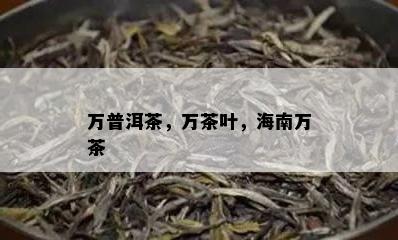 万普洱茶，万茶叶，海南万茶