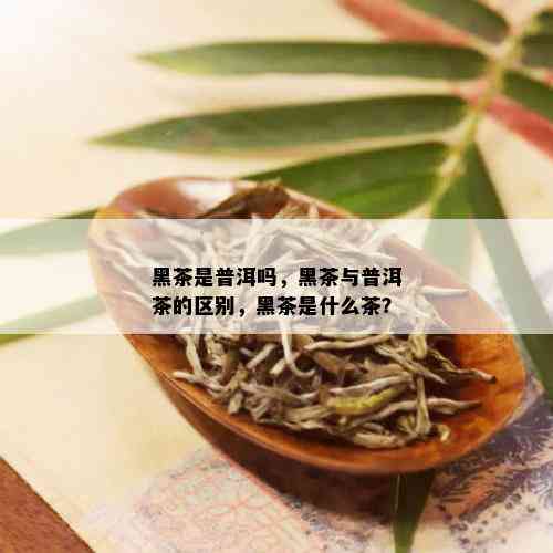 黑茶是普洱吗，黑茶与普洱茶的区别，黑茶是什么茶？