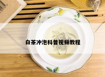 白茶冲泡科普视频教程