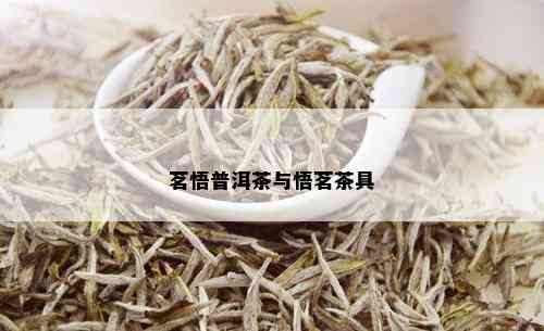 茗悟普洱茶与悟茗茶具