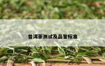 普洱茶测试及品鉴标准