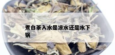 煮白茶入水是凉水还是水下锅