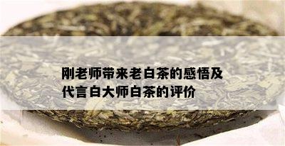 刚老师带来老白茶的感悟及代言白大师白茶的评价