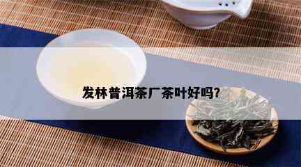 发林普洱茶厂茶叶好吗？