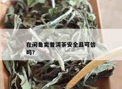 在闲鱼卖普洱茶安全且可信吗？