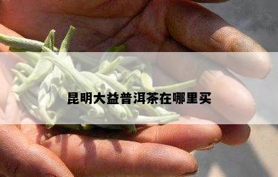 昆明大益普洱茶在哪里买