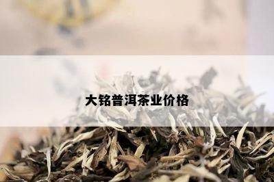 大铭普洱茶业价格