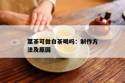 菜茶可做白茶喝吗：制作方法及原因