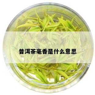 普洱茶毫香是什么意思