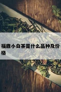 福鼎小白茶是什么品种及价格