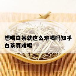 想喝白茶就这么难喝吗知乎白茶真难喝