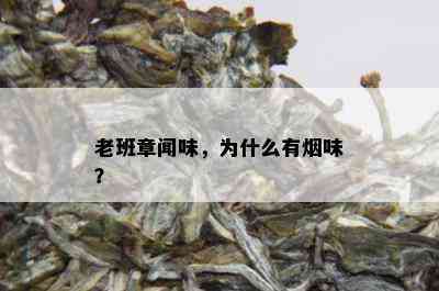 老班章闻味，为什么有味？