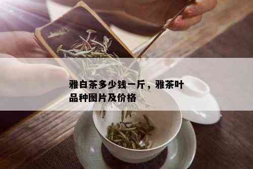 雅白茶多少钱一斤，雅茶叶品种图片及价格