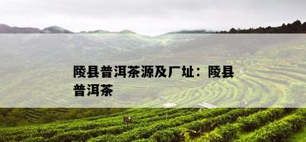 陵县普洱茶源及厂址：陵县普洱茶