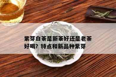 紫芽白茶是新茶好还是老茶好喝？特点和新品种紫芽