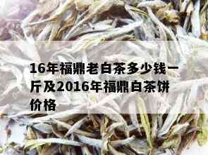 16年福鼎老白茶多少钱一斤及2016年福鼎白茶饼价格