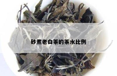 砂煮老白茶的茶水比例