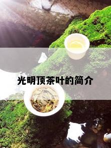 光明顶茶叶的简介