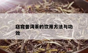 窈窕普洱茶的饮用方法与功效