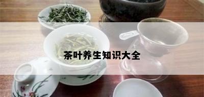 茶叶养生知识大全