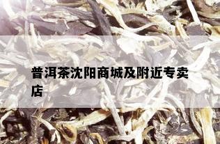 普洱茶沈阳商城及附近专卖店