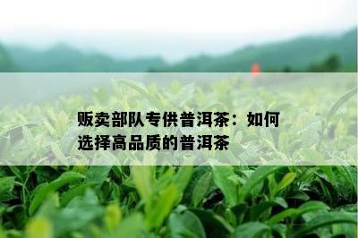 贩卖部队专供普洱茶：如何选择高品质的普洱茶