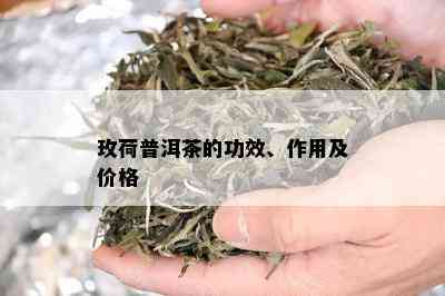 玫荷普洱茶的功效、作用及价格