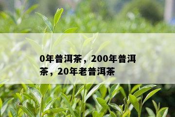 0年普洱茶，200年普洱茶，20年老普洱茶