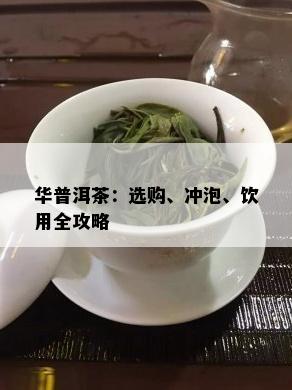 华普洱茶：选购、冲泡、饮用全攻略