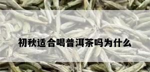 初秋适合喝普洱茶吗为什么