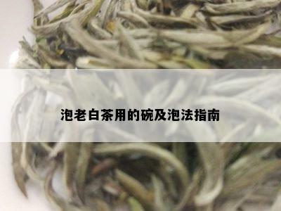 泡老白茶用的碗及泡法指南