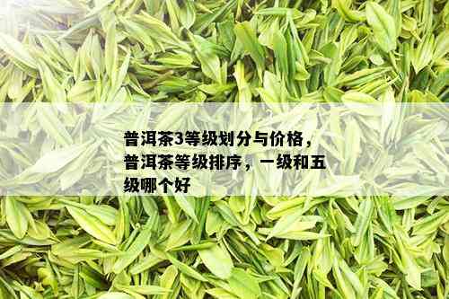 普洱茶3等级划分与价格，普洱茶等级排序，一级和五级哪个好