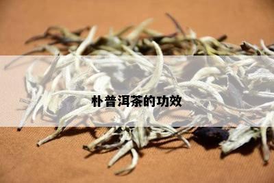 朴普洱茶的功效