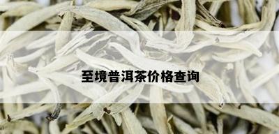 至境普洱茶价格查询