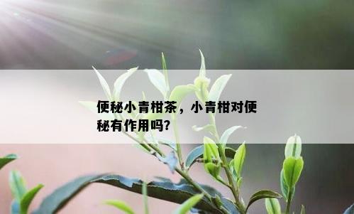 便秘小青柑茶，小青柑对便秘有作用吗？