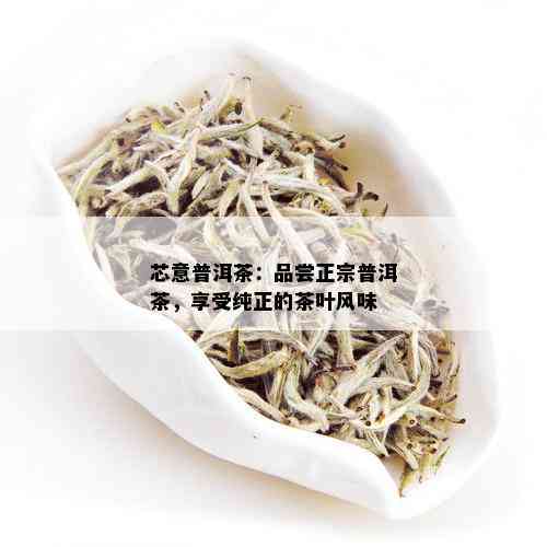 芯意普洱茶：品尝正宗普洱茶，享受纯正的茶叶风味