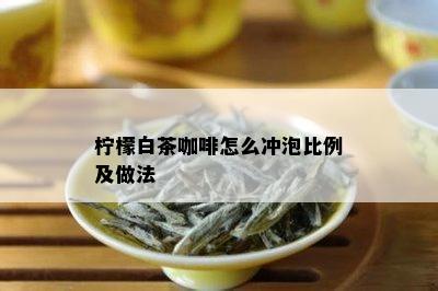 柠檬白茶咖啡怎么冲泡比例及做法