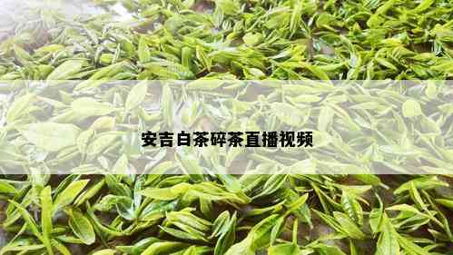 安吉白茶碎茶直播视频